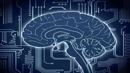 人工智能的根基 從網紅送餐機器人看自動駕駛的挑戰與軟件開發